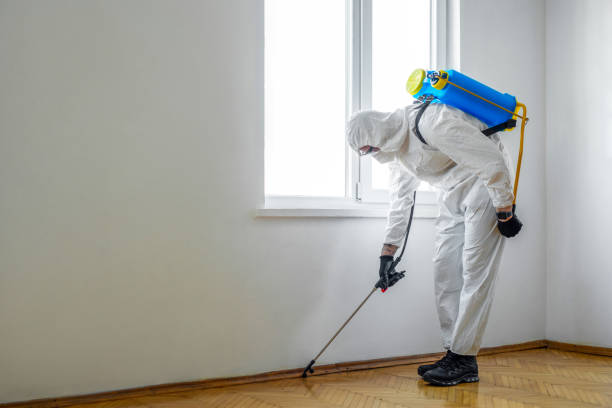 Best Cockroach Control Services  in Blue Ash, OH