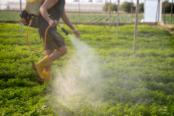 Best Pest Removal Services  in Blue Ash, OH